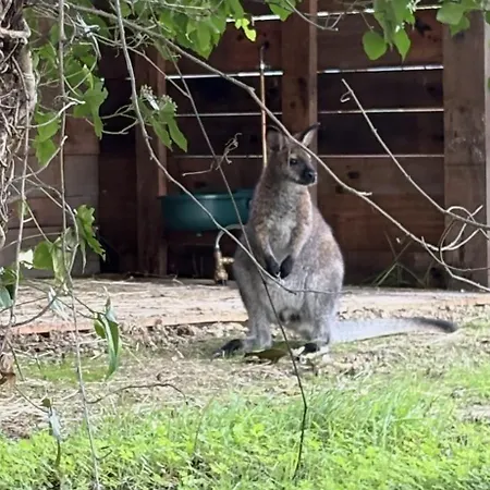 Bulle Etoilée Asnières-la-Giraud