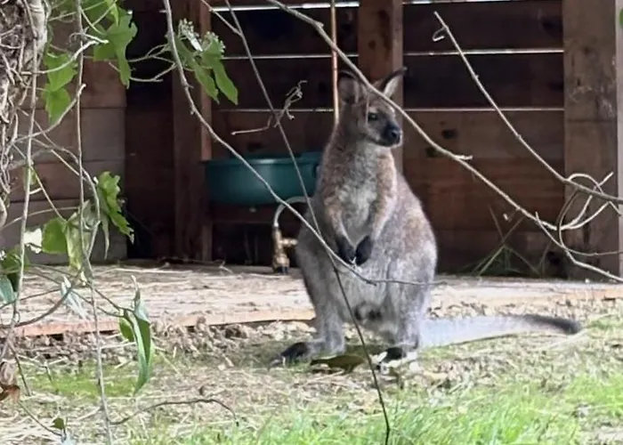 Bulle Etoilee Asnières-la-Giraud